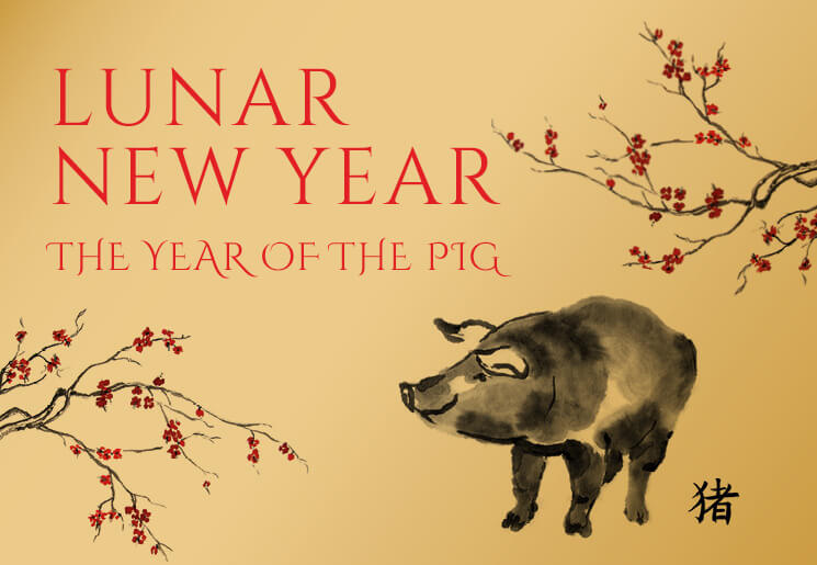 Lunar New Year South Coast Plaza