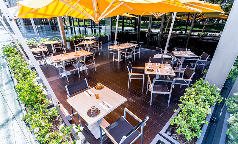 Summer shade. Outdoor dining is - South Coast Plaza