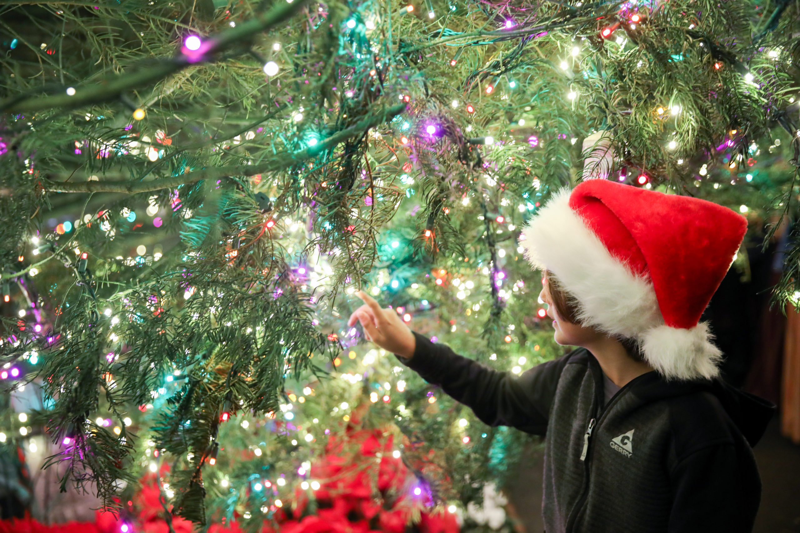 South Coast Plaza Traditional Tree Lighting Ceremony