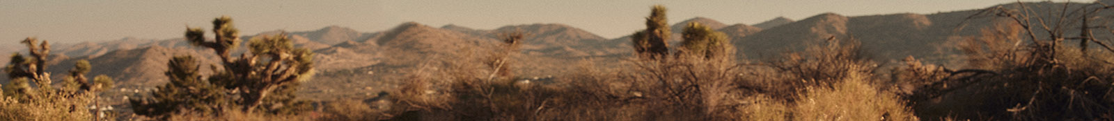 SP25 Desert