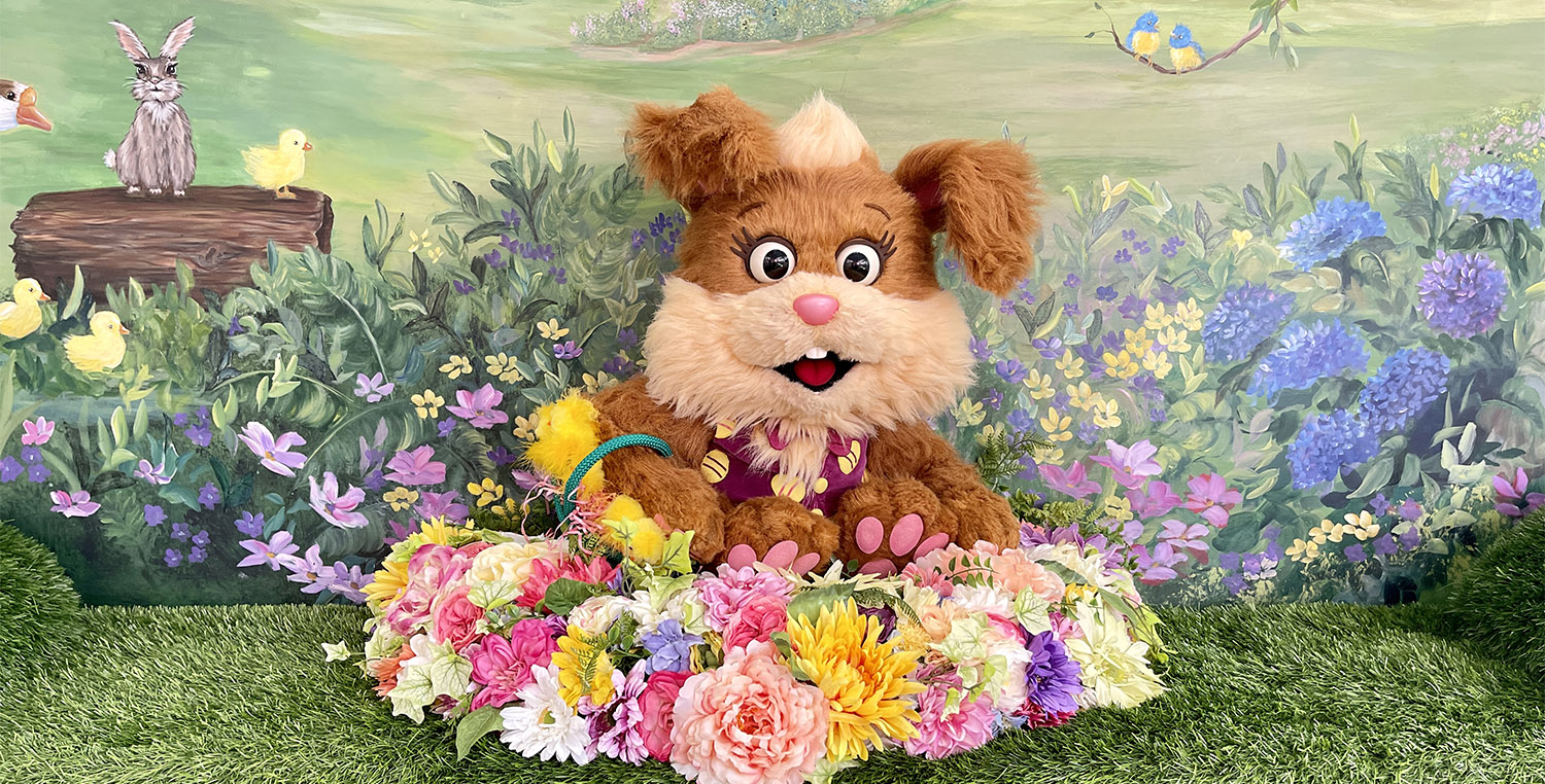 Bunny Photos